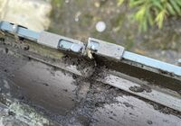 IMG_3613